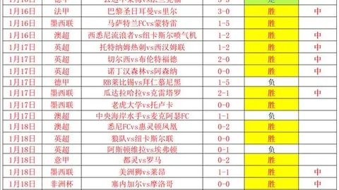 中国足协12亿债务悬疑：资金流向成谜？