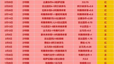 “张琳芃合同谜底揭晓：申花错失良机，转会真相提前曝光！”